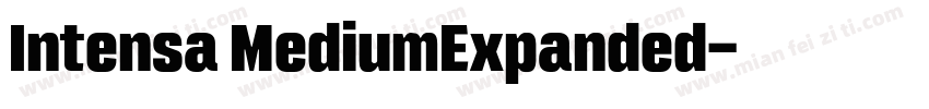 Intensa MediumExpanded字体转换